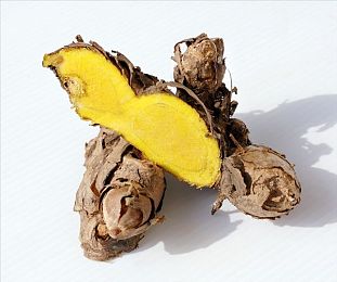 白鹿正式宣布退出奔跑｜《奔跑吧，兄弟》当家花旦白鹿宣布退出，游戏界迎来重大变动，玩家不舍与期待并存-3