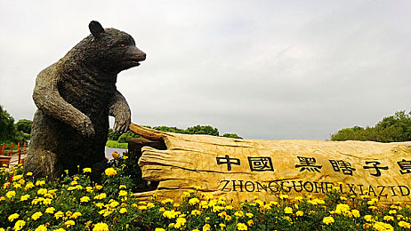 张警官撞玻璃视频大全最新｜惊悚瞬间直击！张警官勇救儿童、智斗歹徒，视频大全揭秘英勇事迹引热议-2