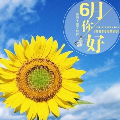 桥本香草｜桥本香草：民谣之声逆袭网络，素人歌手绽放音乐梦想之光-2