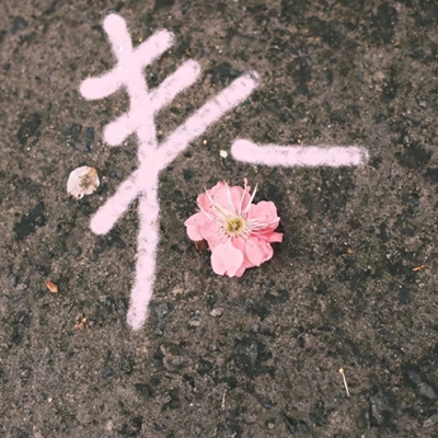 179.sx吃瓜张津瑜,28岁社会活动家张津瑜引发热议 教育体制改革呼声再起-2