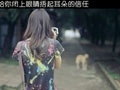 草莓视频污站长统计：视频平台站长非法统计用户观看数据,隐私泄露引发社会热议-3