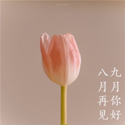 草莓视频污站长统计：视频平台站长非法统计用户观看数据,隐私泄露引发社会热议-4