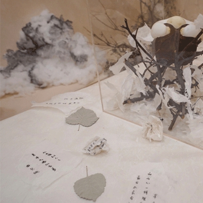 acca少女sdanvi｜ACCA备考伴侣sdanvi：趣味学习，快乐启航，轻松通关之旅-2
